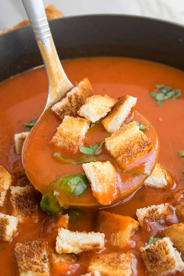 Spoonful of Easy One Pot Tomato Basil Soup.