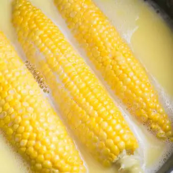 One Pot Boiled Corn on the Cob in Milk and Butter- Overhead Shot.