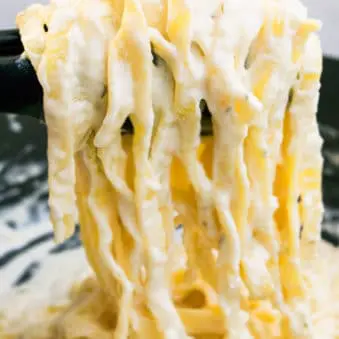 Easy Creamy One Pot Fettuccine Alfredo in Tongs- Closeup Shot.