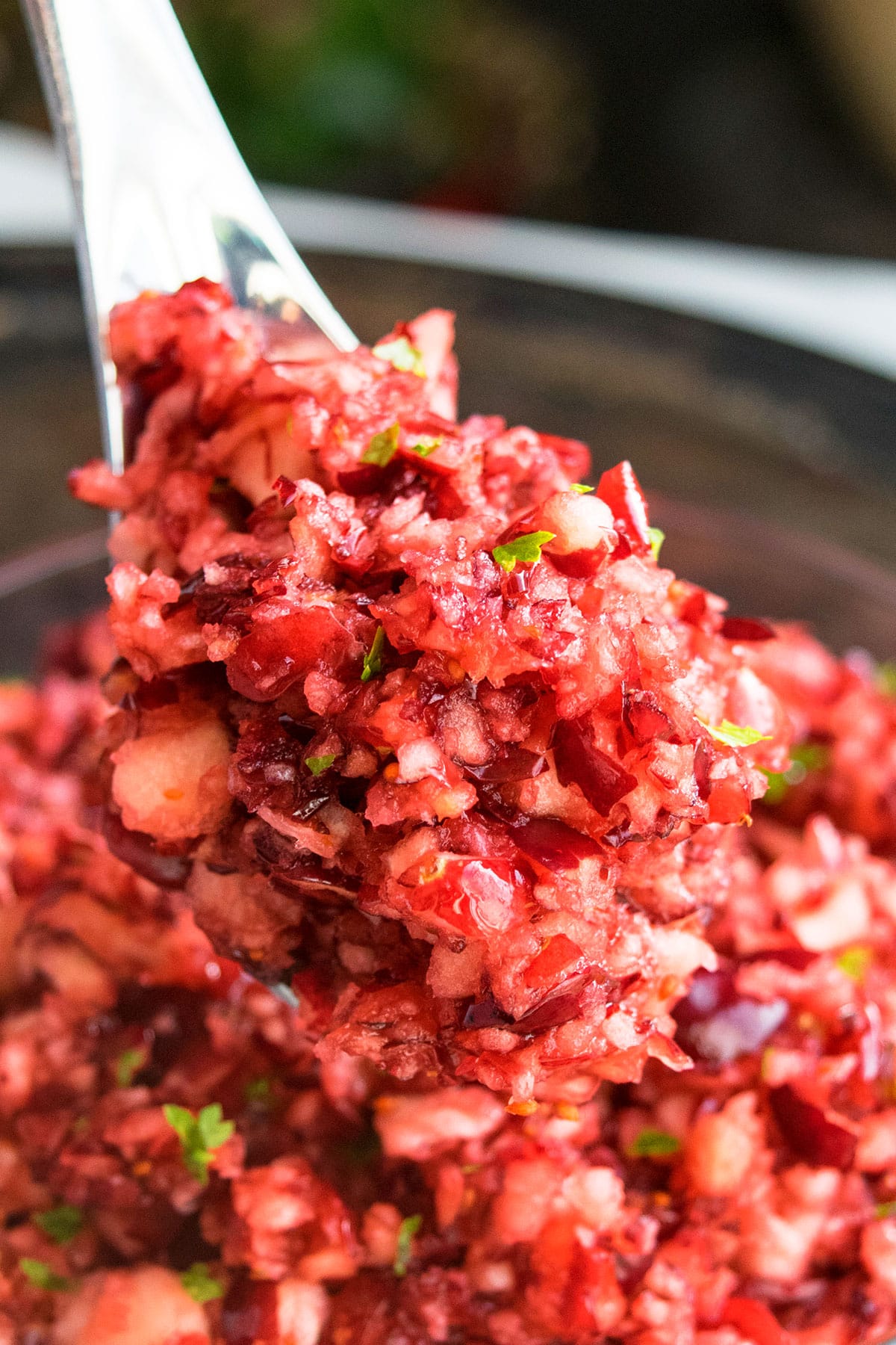 Spoonful of Cranberry Side Dish - Closeup Shot. 
