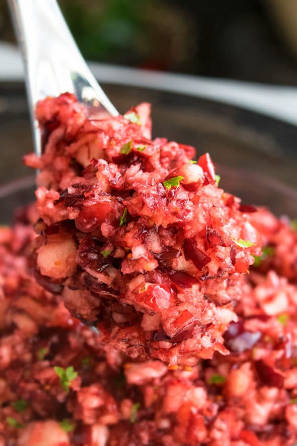 Easy Cranberry Relish (One Bowl) | One Pot Recipes