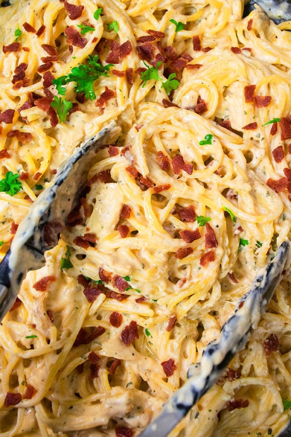 Chicken Bacon Ranch Pasta (One Pot) | One Pot Recipes