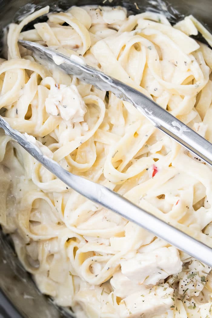 Crockpot Chicken Alfredo Recipe - The Cookie Rookie®