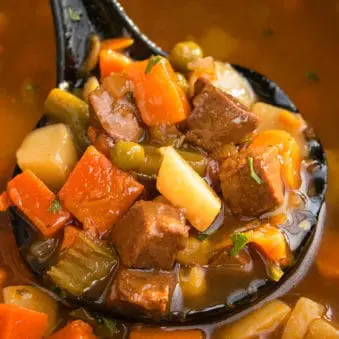 Ladle Full of Best Easy One Pot Beef Stew.