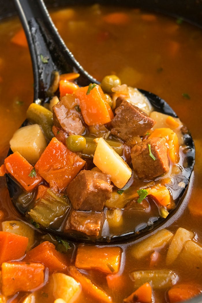 Ladle Full of Best Easy One Pot Beef Stew.