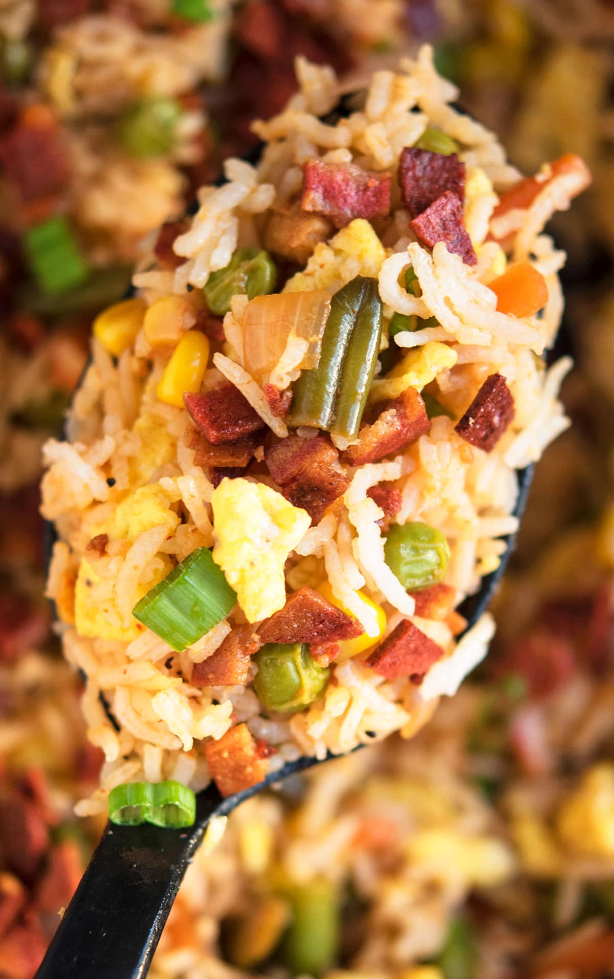 Spoonful of best homemade Asian fried rice- Closeup shot.
