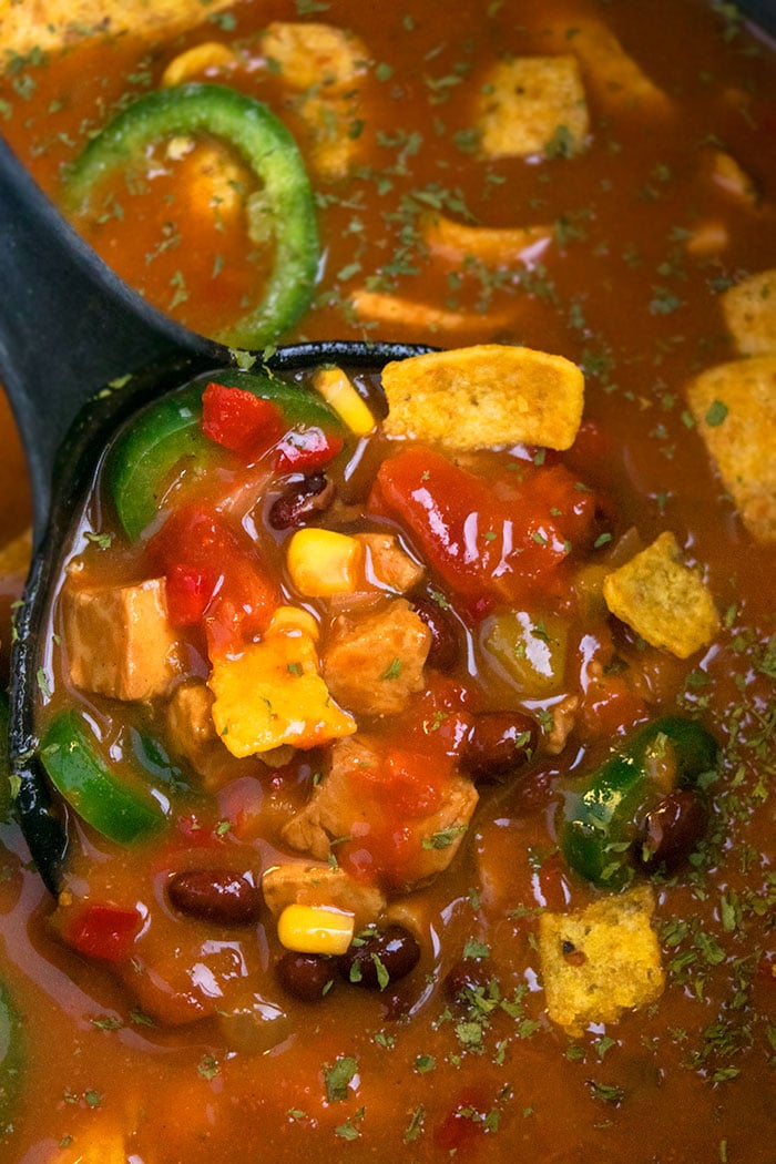 Instant Pot Chicken Enchilada Soup | One Pot Recipes