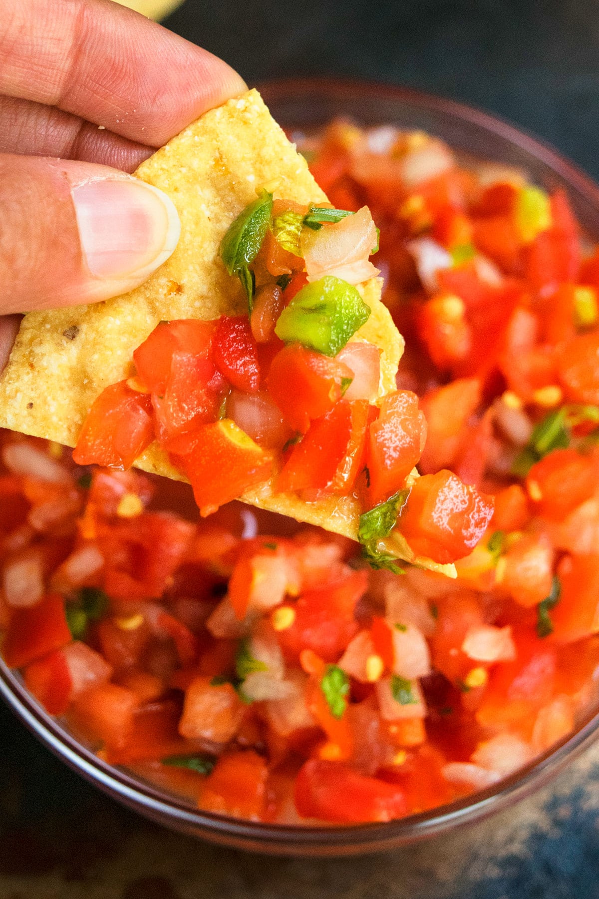 Tortilla scooping Mexican tomato dip from glass bowl. 