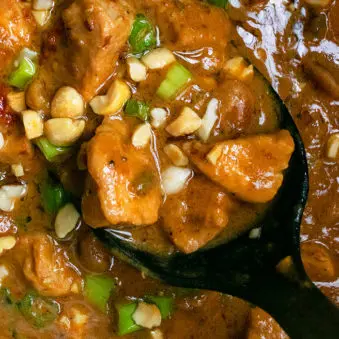 Instant Pot Peanut Butter Chicken Recipe (Peanut Chicken)