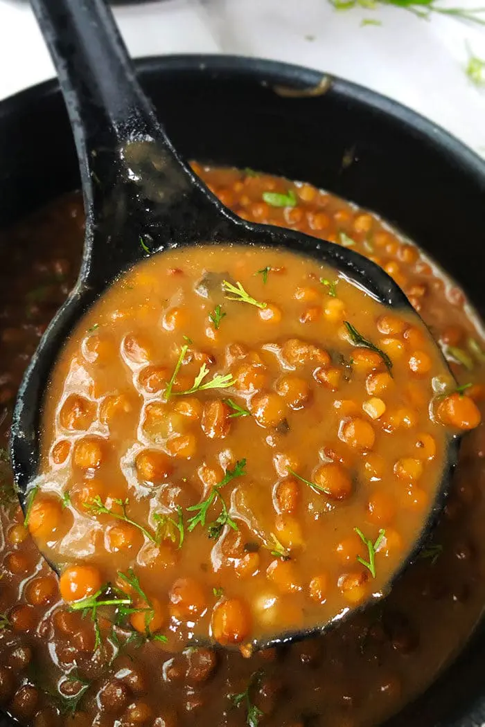 Homemade Lentil Vegetable Soup (One Pot Meal)