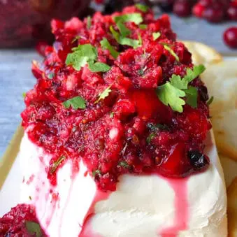 Easy Cranberry Salsa Recipe