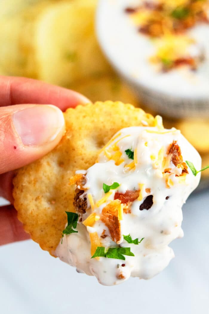 Best Creamy Veggie Dip on Cracker- Closeup Shot. 