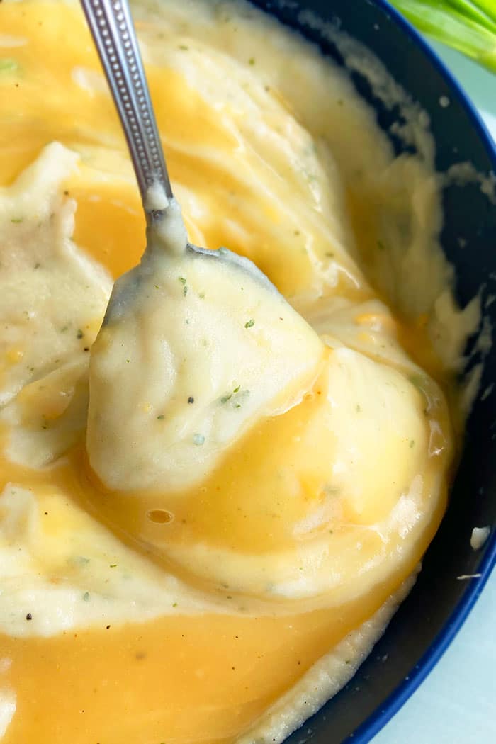 Closeup Shot of Spoonful of Mashed Potatoes and Vegetable Broth Gravy 