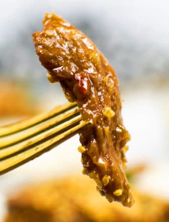 Best Mongolian Beef on Gold Fork - Closeup Shot