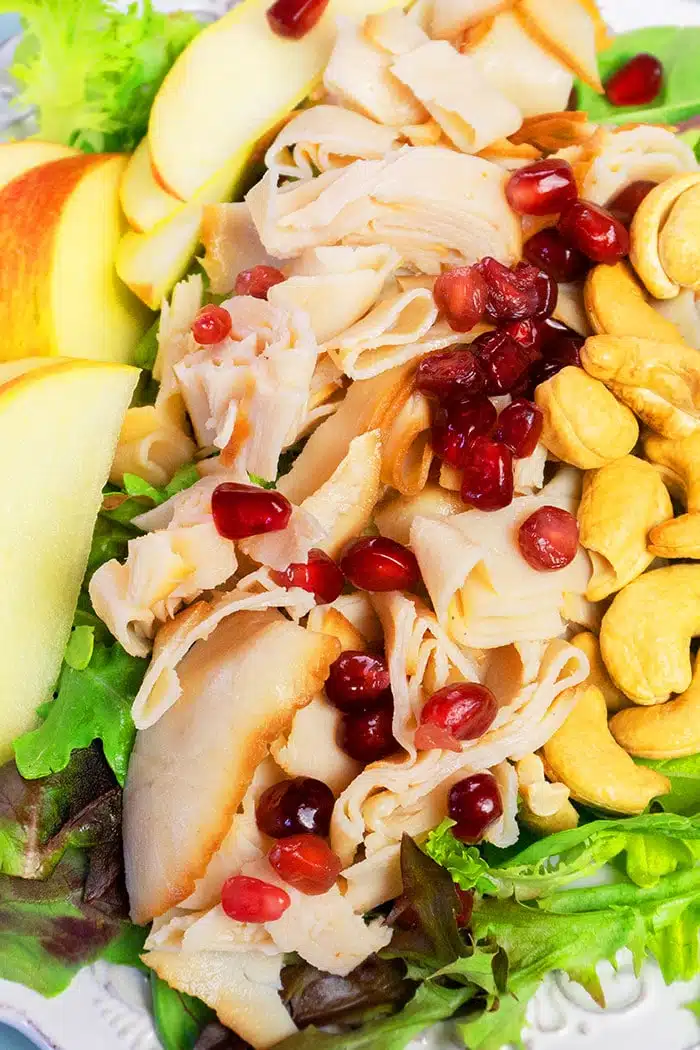 Closeup Shot of Fall Harvest Salad with Turkey, Pomegranate seeds, Nuts, Apples and Orange Vinaigrette