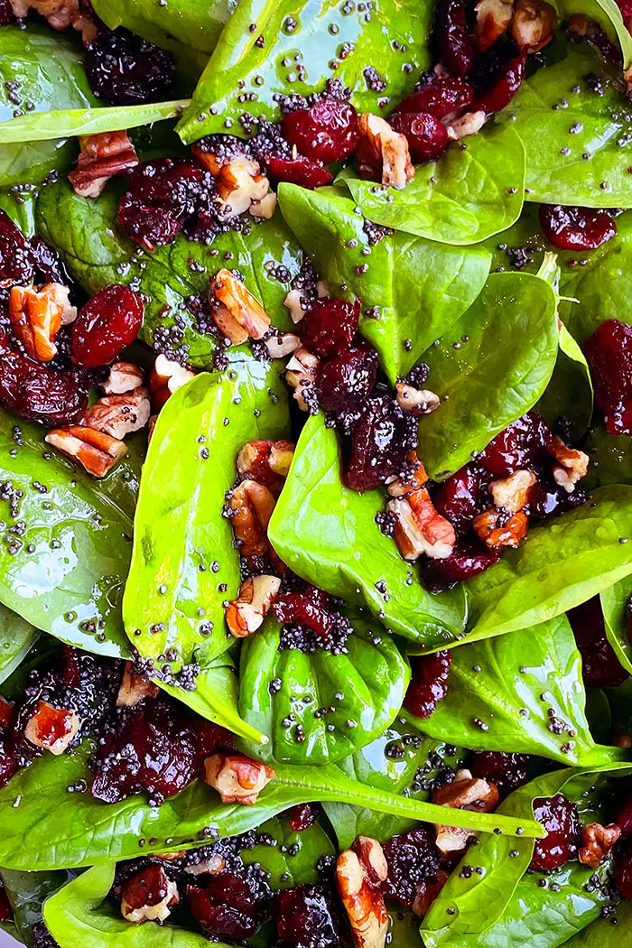 Closeup Shot of Christmas Salad with Pecans and Cranberries