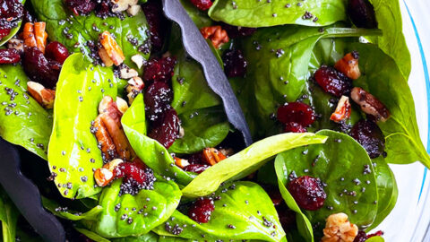 christmas salad with poppy seed dressing This Winter Salad with Lemon Poppy Seed Dressing would be perfect for Thanksgiving, Christmas, or just all winter long! I've been making this one since 2007 and it's still a favorite! Comment