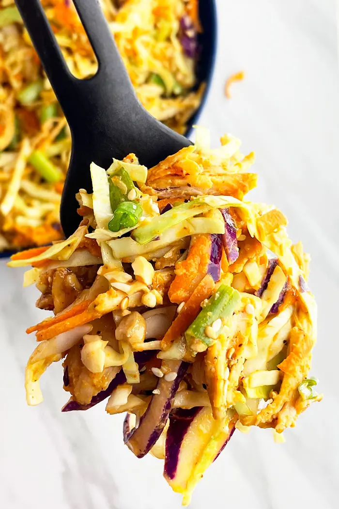 Spoonful of Asian Chicken Salad on White Background- Closeup Shot