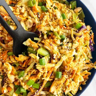 Easy Homemade Thai Chicken Salad in Blue Bowl on White Background- Overhead Shot