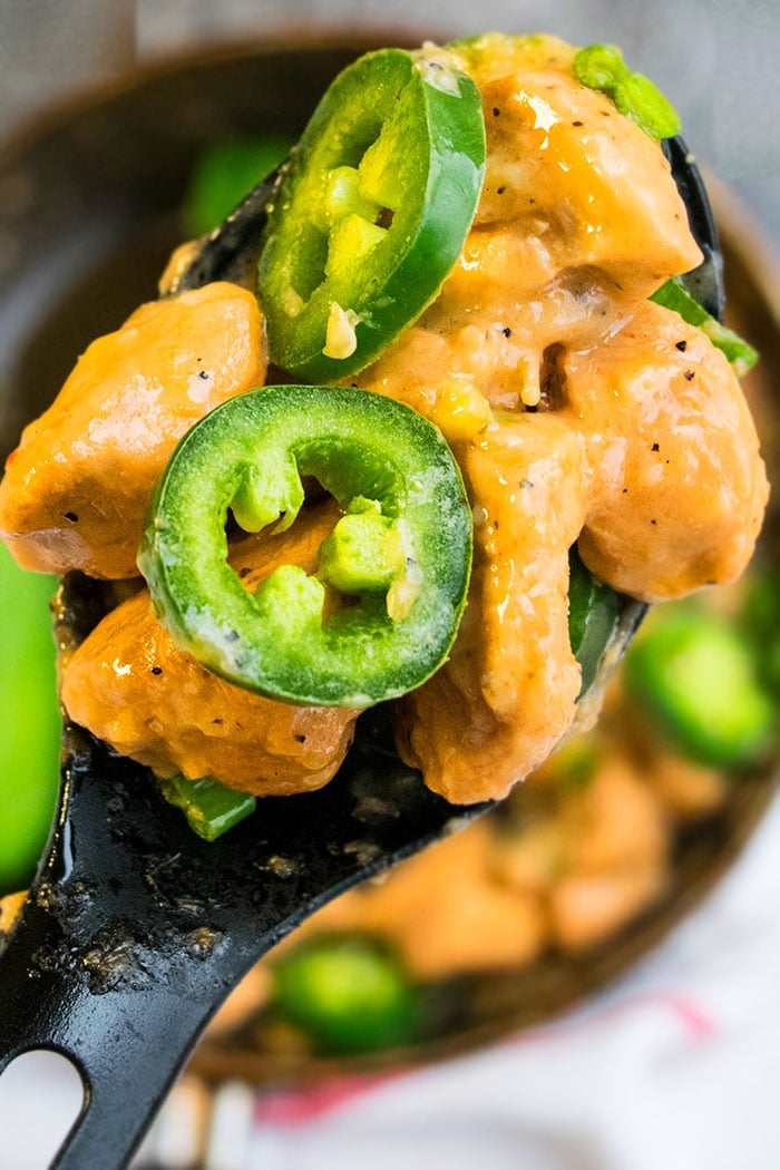 Spoonful of Spicy Jalapeno Cream Cheese Chicken - Closeup Shot