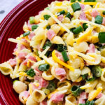 Easy Creamy Ham Pasta Salad with Mayo Dressing in Red Plate