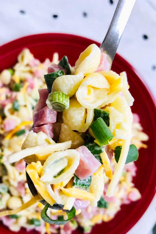 Ham Pasta Salad (One Bowl) | One Pot Recipes