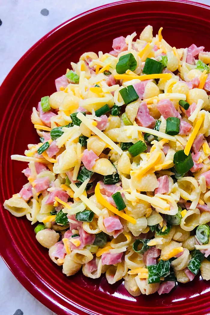 Ham Pasta Salad in Red Plate- Overhead Shot