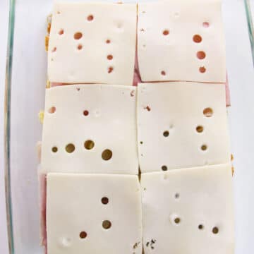 Slices of cheese placed n top of the pickled.