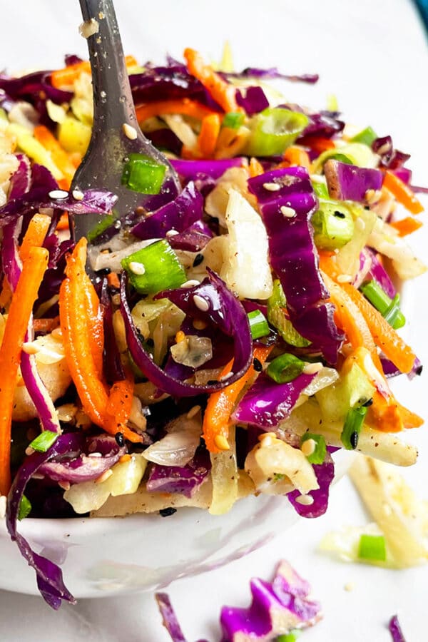 Asian Slaw or Coleslaw (One Bowl) | One Pot Recipes