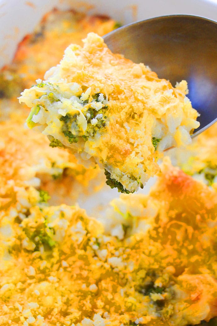 Spoonful of Chicken Broccoli Casserole- Closeup Shot
