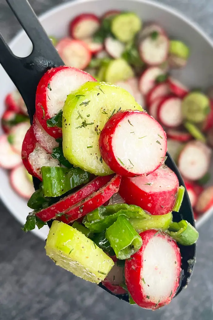 Spoonful of Light Salad With Cucumbers, Radishes, Dill, Green Onions- Closeup Shot