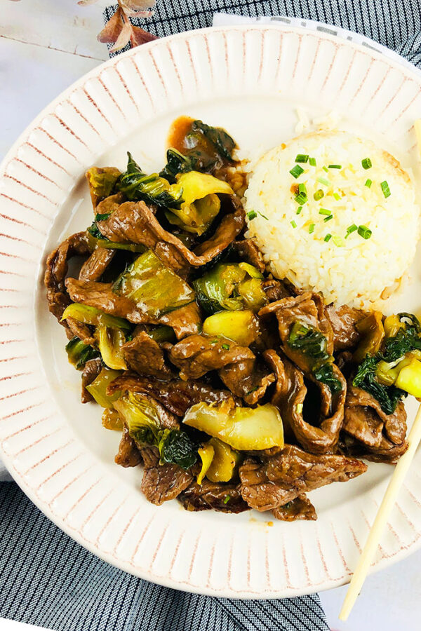 Instant Pot Ginger Beef One Pot Recipes