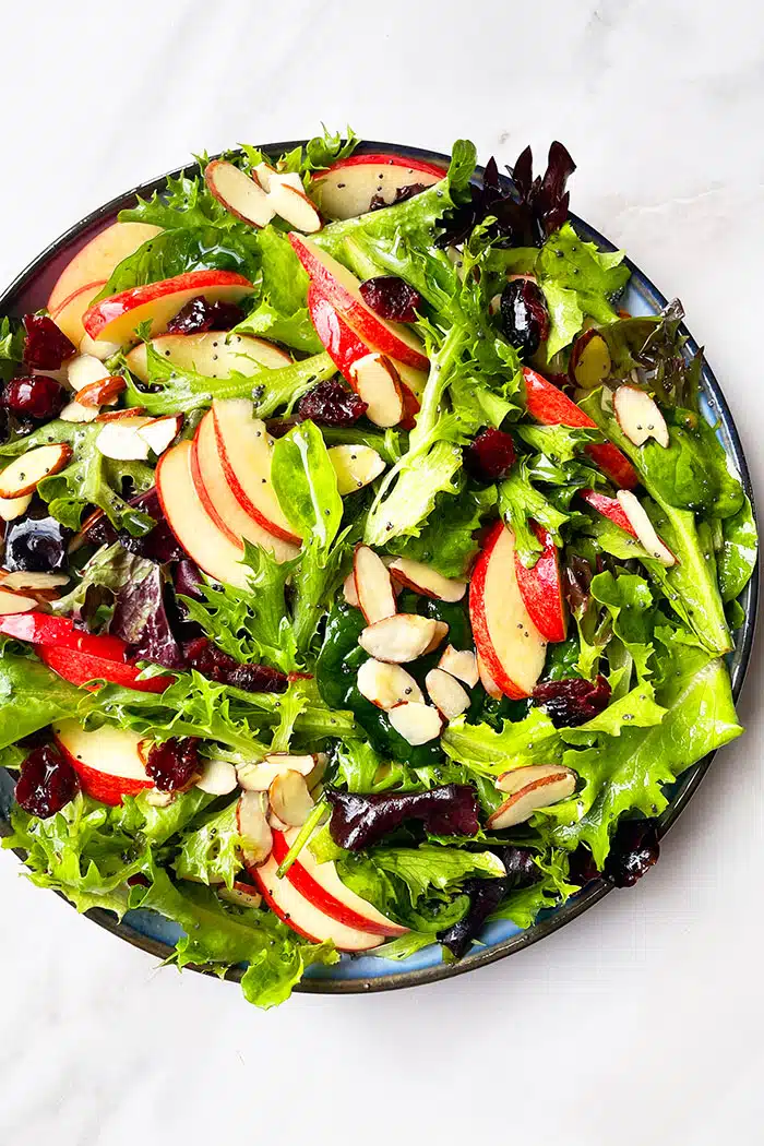 Best Fall or Thanksgiving Salad in Black Dish- Overhead Shot