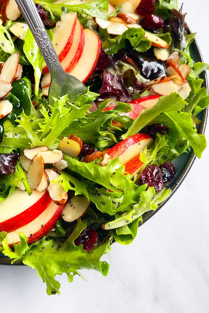 Fork Full of Salad With Fall Flavors- Closeup Shot 