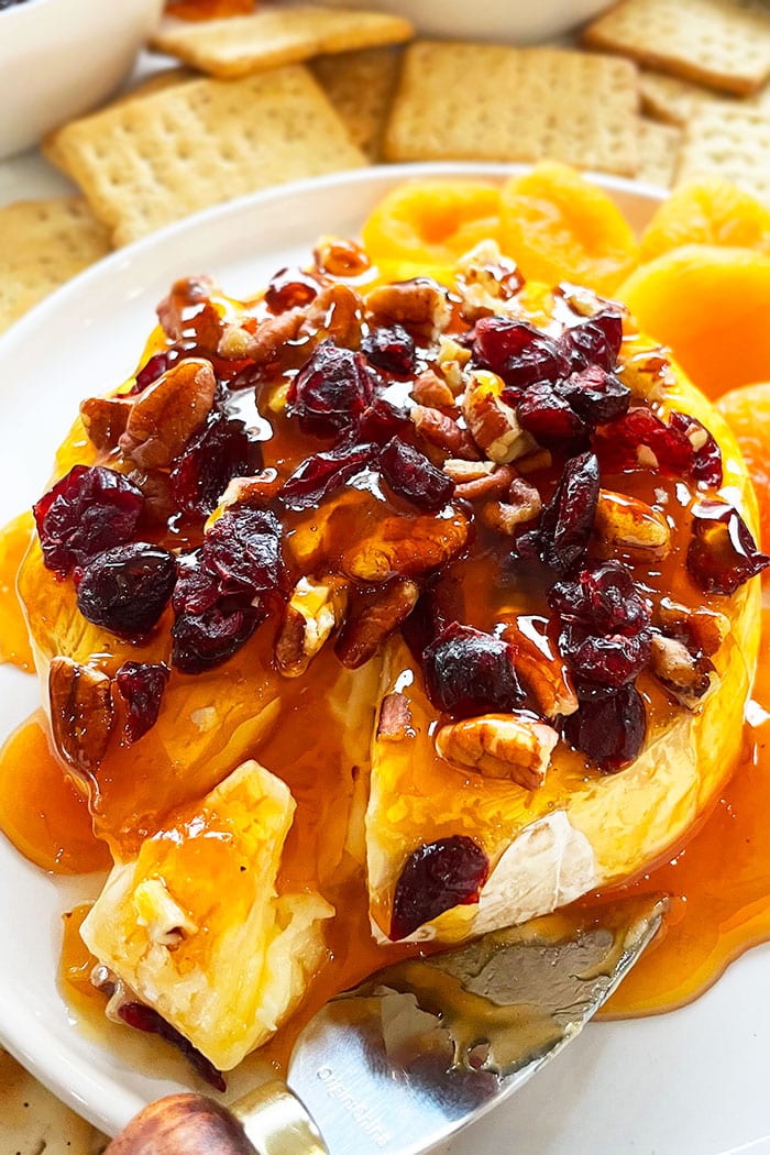 Sliced Melted Brie Appetizer With Cranberries, Walnuts and Apricot Jam Topping in White Dish