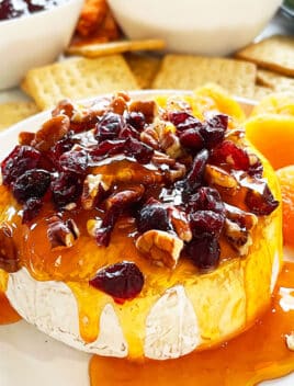 Easy Baked Brie With Jam and Cranberries on White Dish