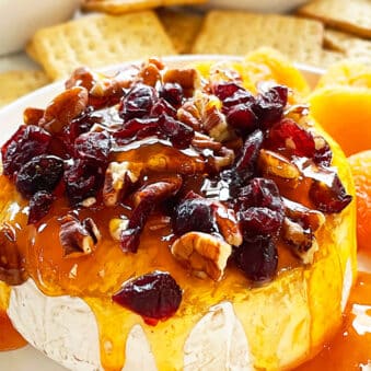 Easy Baked Brie With Jam and Cranberries on White Dish