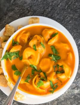 Easy Tomato Tortellini Soup in White Bowl on Rustic Gray Background.