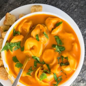Easy Tomato Tortellini Soup in White Bowl on Rustic Gray Background.