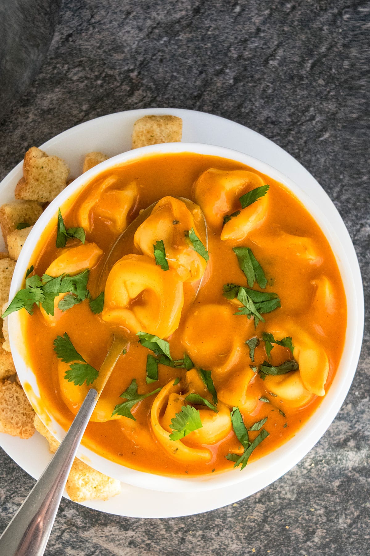 Easy Tomato Tortellini Soup in White Bowl on Rustic Gray Background. 