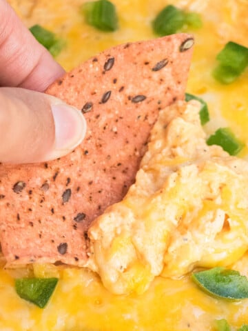 Closeup shot of tortilla scooping spicy baked Buffalo Chicken Dip.